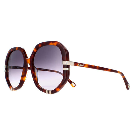 Chloe CH0105S 004 Sunglasses