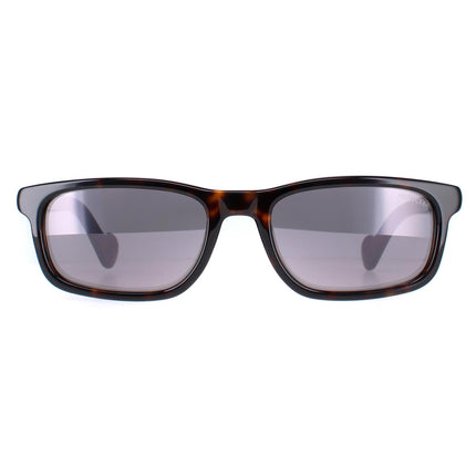 Moncler ML0116 52C Sunglasses