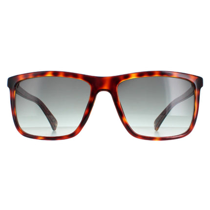 Ted Baker TB1663 Havna 122 Sunglasses