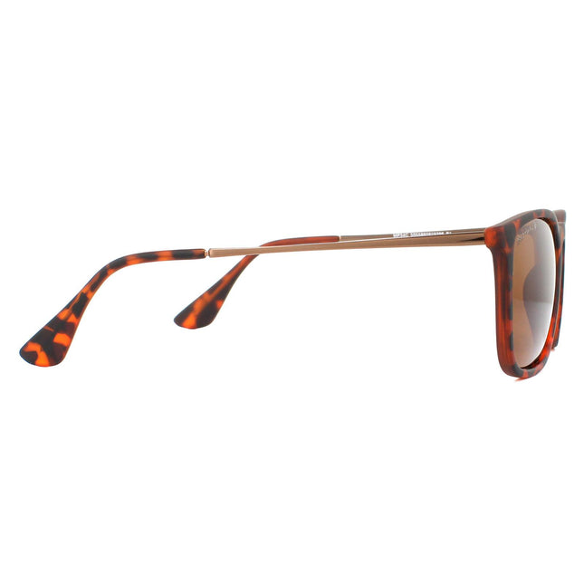 Montana MP34 C Sunglasses