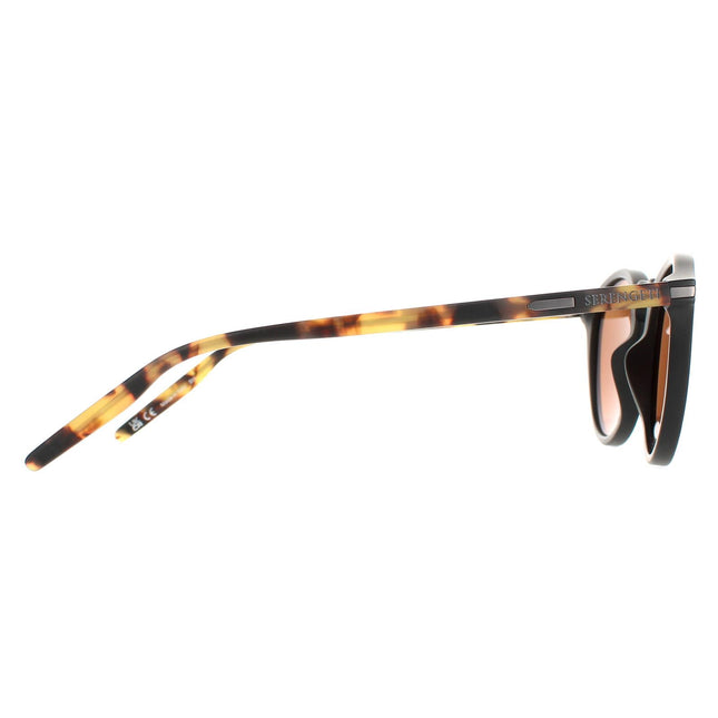 Serengeti Raffaele 8837 Sunglasses