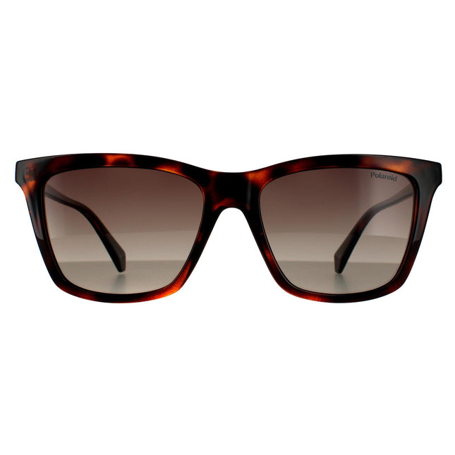 Polaroid PLD 4081/S 086 LA Sunglasses