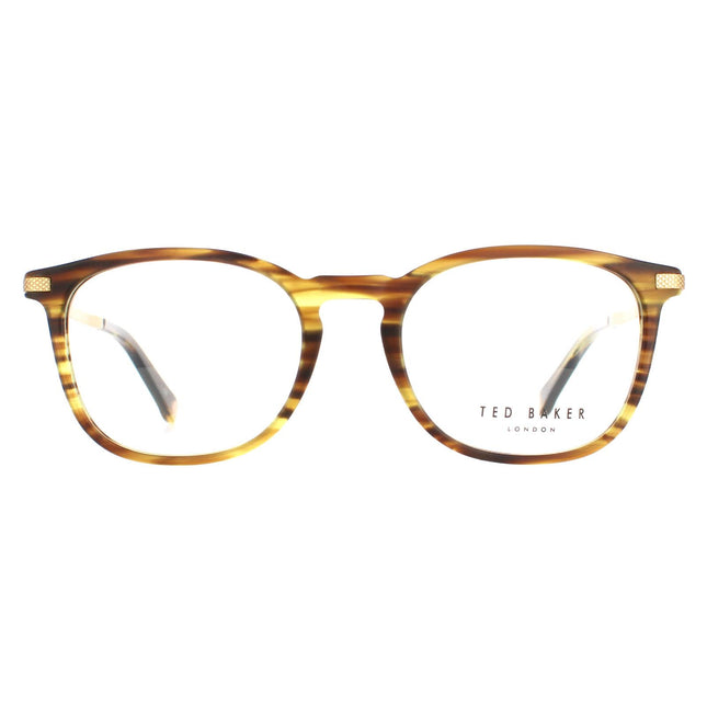 Ted Baker TB8180 Hyde 105 Glasses