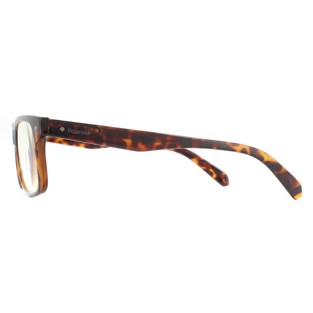 Polaroid Readers 0023/R 086 Glasses