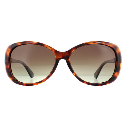 Polaroid PLD 4097/S 086 LA Sunglasses