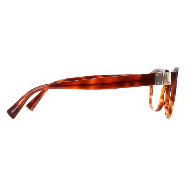 Dolce & Gabbana DG 3277 3144 Glasses