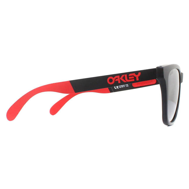 Oakley Frogskins Mix OO9428 11 Sunglasses