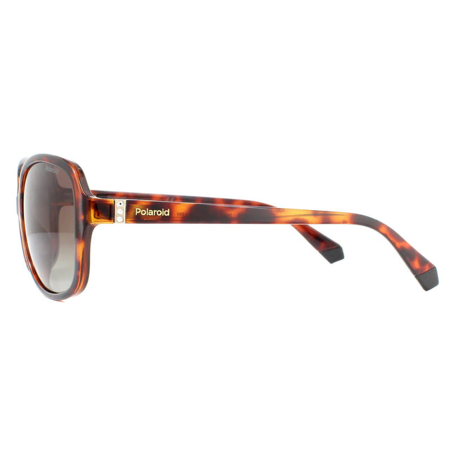 Polaroid PLD 4098/S 086 LA Sunglasses