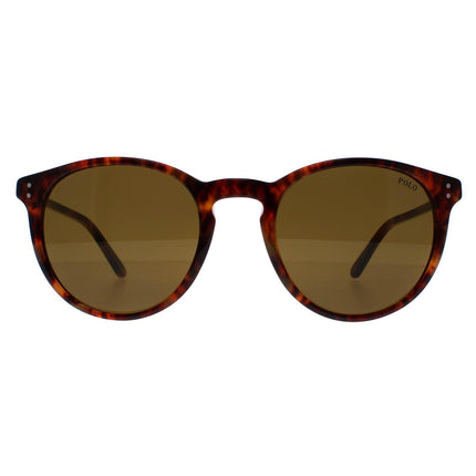 Polo Ralph Lauren 4110 501773 Sunglasses