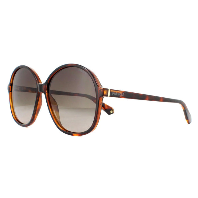 Polaroid PLD 6095/S 086 LA Sunglasses