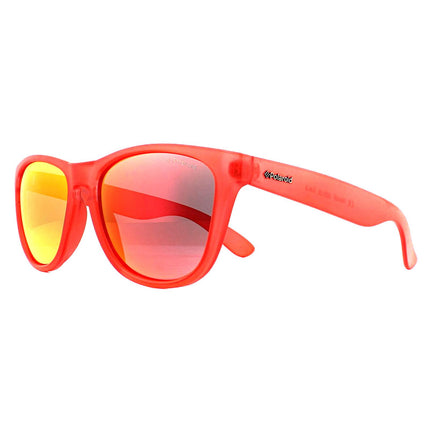 Polaroid P8443 0Z3 Sunglasses