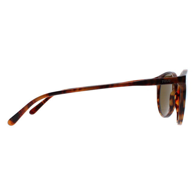 Polo Ralph Lauren 4110 501773 Sunglasses