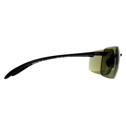 Serengeti Silio 8920 Sunglasses