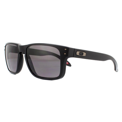 Oakley Holbrook XS OJ9007 09 Sunglasses