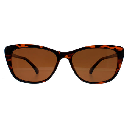 Montana MP42 B Sunglasses