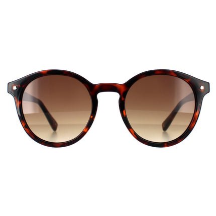 Ted Baker TB1677 Fleur 149 Sunglasses