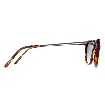 Polar York COL.428 Sunglasses
