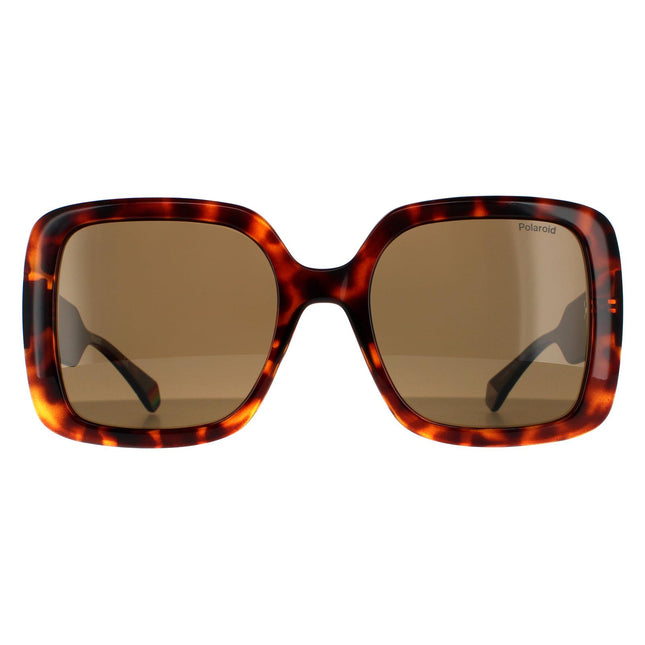 Polaroid PLD 6168/S 086 SP Sunglasses