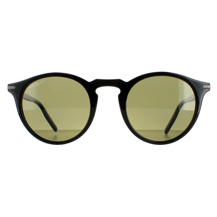 Serengeti Raffaele 8950 Sunglasses