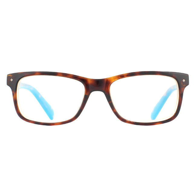 Polaroid Readers 0023/R 086 Glasses