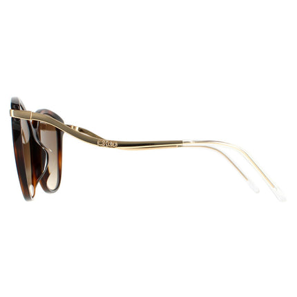 Jimmy Choo Peg/F/S O2V HA Sunglasses