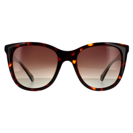 Polaroid PLD 4096/S/X 086 LA Sunglasses