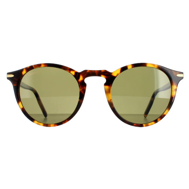 Serengeti Raffaele SS041002 Sunglasses