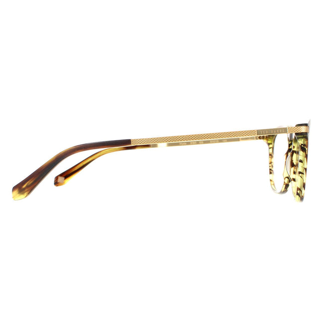 Ted Baker TB8180 Hyde 105 Glasses