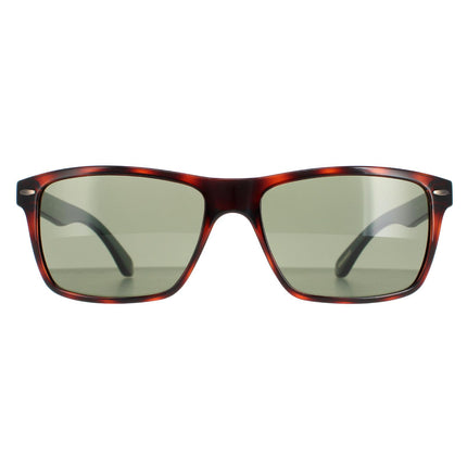 Ted Baker TB1409 Rhett 173 Sunglasses