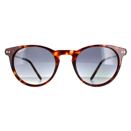 Polar York COL.428 Sunglasses