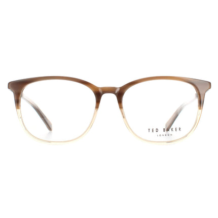 Ted Baker TB8219 Archer 102 Glasses