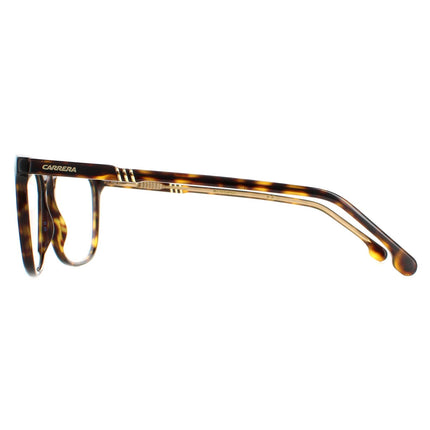 Carrera 1125 086 Glasses