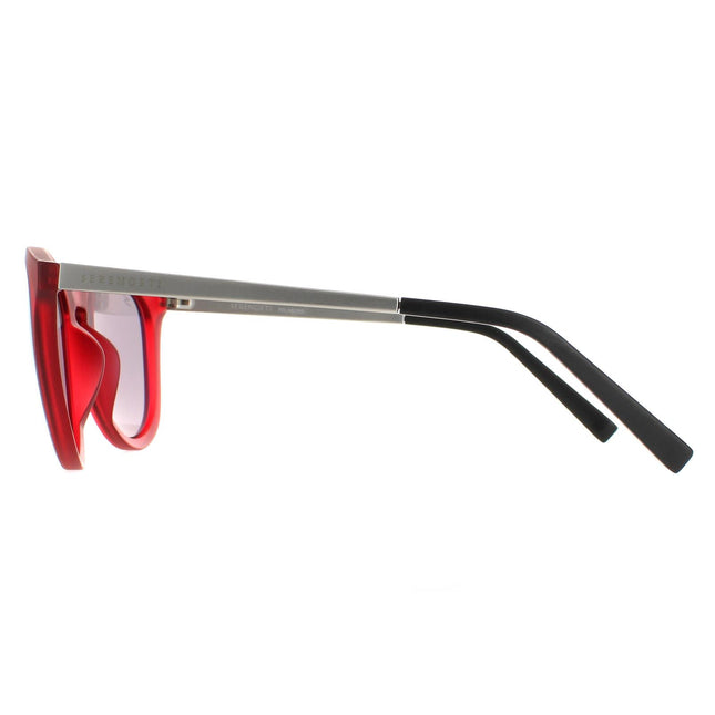 Serengeti Brawley SS556003 Sunglasses