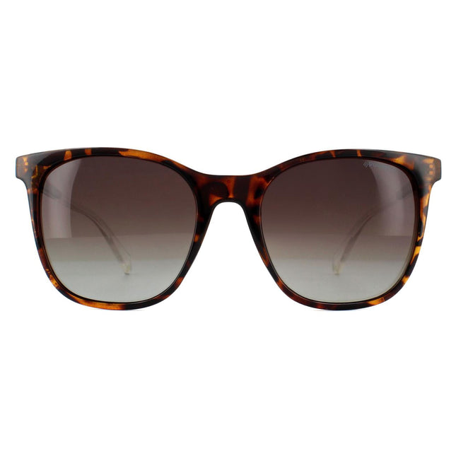 Polaroid PLD 4059/S 086 LA Sunglasses