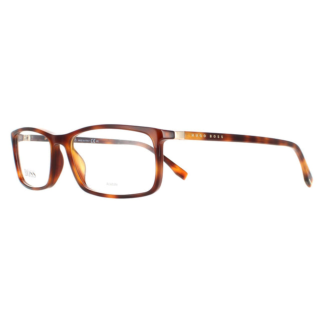 Hugo Boss BOSS 0680/IT 2IK Glasses