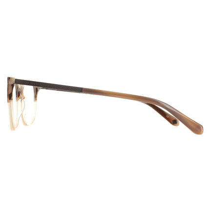 Ted Baker TB8219 Archer 102 Glasses