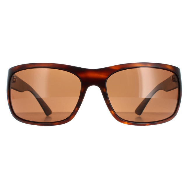 Serengeti Pistoia 8300 Sunglasses