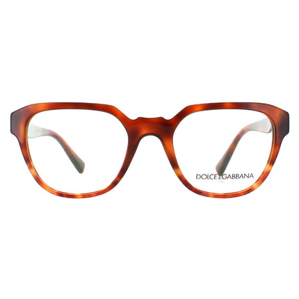 Dolce & Gabbana DG 3277 3144 Glasses