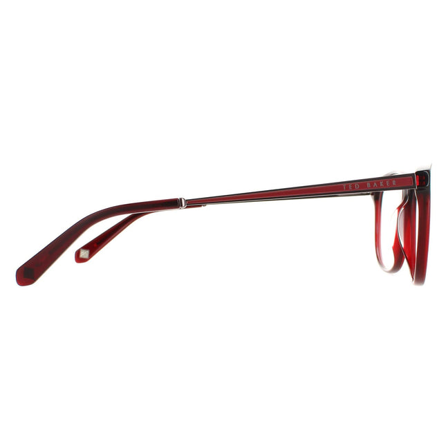 Ted Baker TB8191 Beale 229 Glasses