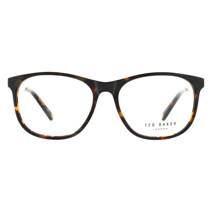 Ted Baker Beale TB8191 145 Glasses