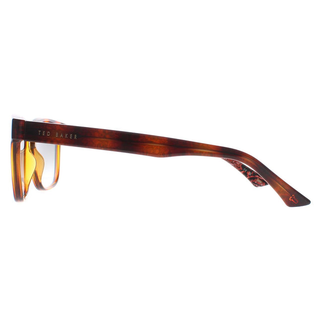 Ted Baker TB1635 Surf 122 Sunglasses