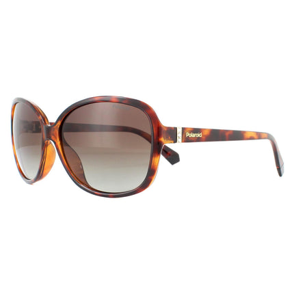 Polaroid PLD 4098/S 086 LA Sunglasses