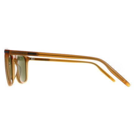 Serengeti Delio 8855 Sunglasses