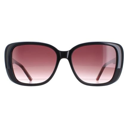 Ted Baker TB1640 Margo 1 Sunglasses