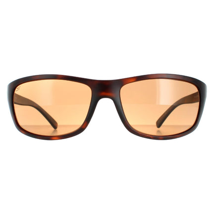 Serengeti Bormio SS009003 Sunglasses