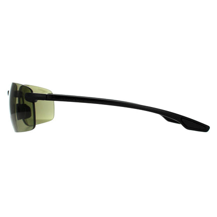 Serengeti Erice 8501 Sunglasses