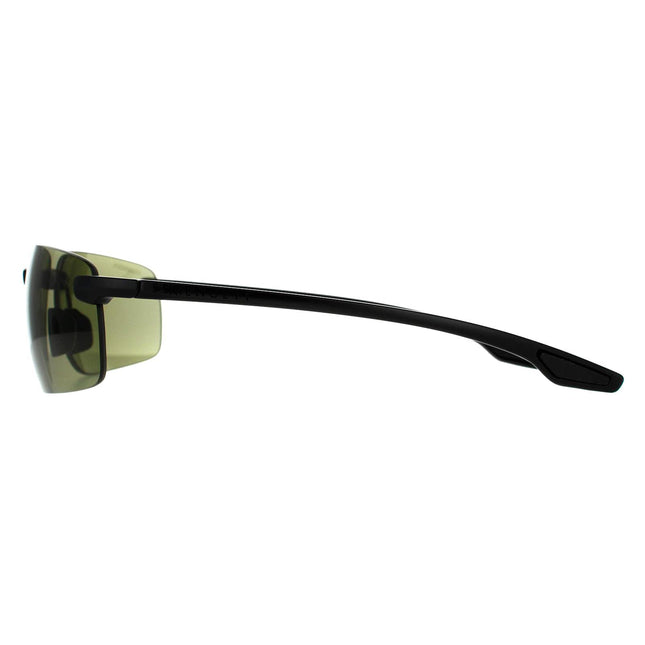 Serengeti Erice 8501 Sunglasses