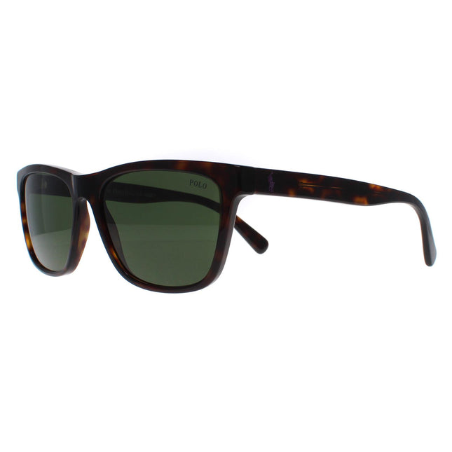 Polo Ralph Lauren PH4167 500371 Sunglasses
