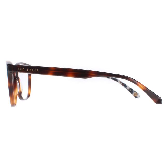 Ted Baker TB8241 Rush 106 Glasses