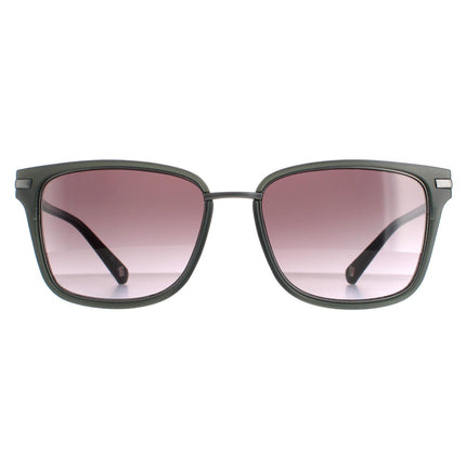 Ted Baker TB1620 Mata 905 Sunglasses